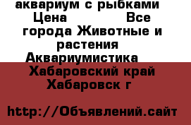 аквариум с рыбками › Цена ­ 15 000 - Все города Животные и растения » Аквариумистика   . Хабаровский край,Хабаровск г.